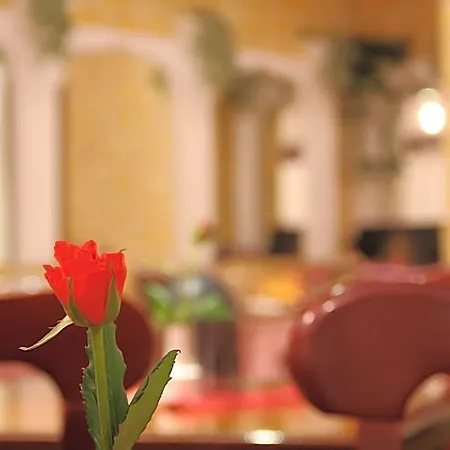 Otel Wali's 3*